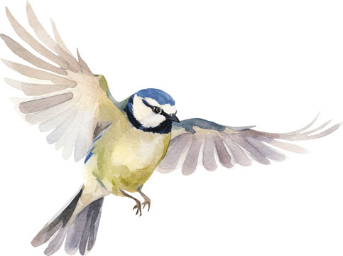 Great tit bird flying created with Generative AI technology
