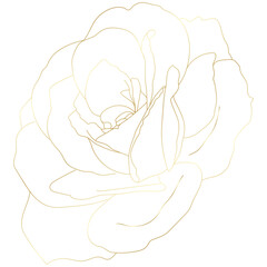 Golden vintage rose floral flower vector