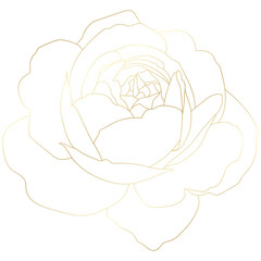 Golden vintage rose floral flower vector