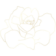 Golden vintage rose floral flower vector