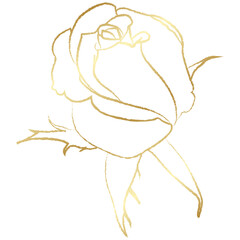 Golden vintage rose floral flower vector