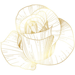 Golden vintage rose floral flower vector
