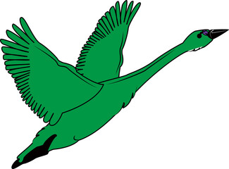 白鳥（swan）(PNG)