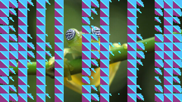 Parallel Pathway | Color Control Panel