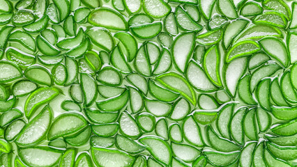 Aloe Vera closeup.aloe vera slice top view texture background. Aloevera plant, natural organic...