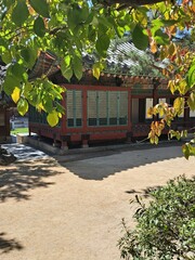 Traditional Korean architecture with the winged burning bush spindle tree garden in the royal palace - Downtown district in Seoul, South Korea 