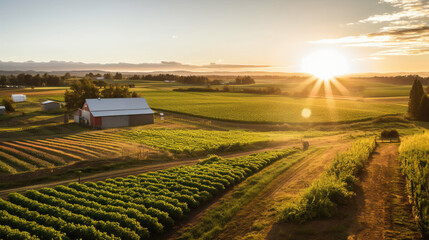 A serene rural landscape bathed in golden sunrise with lush green vineyards in the foreground and...