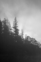 Loch Ard in the fog