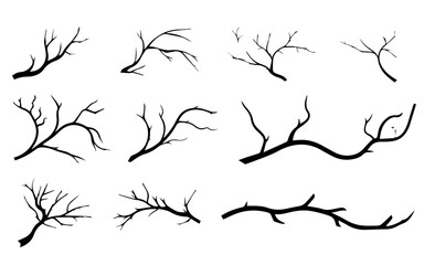 silhouettes of branches