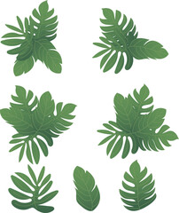 Tropical leaves Vector isolated elements on the white background.
