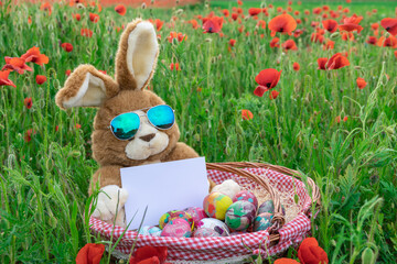 Lapin en peluche avec des lunettes de soleil au milieu d'un champs de coquelicots avec un panier en osier rempli d'œufs de Pâques décorés.	