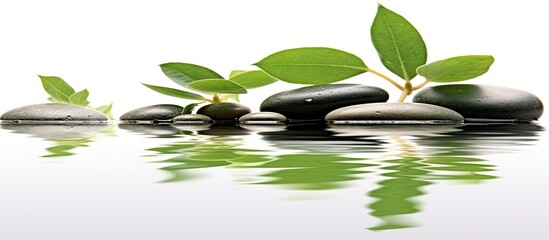Spa - Natural Alternative Therapy With Massage Stones And Waterlily