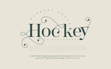Hockey Elegant Font Uppercase Lowercase and Number. Classic Lettering Minimal Fashion Designs. Typography modern serif fonts regular decorative vintage concept. vector illustration	