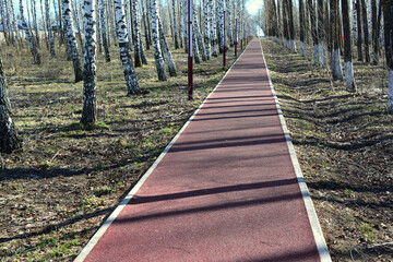 running track in the park with birch trees no people