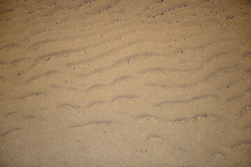 Waveprint in the sand