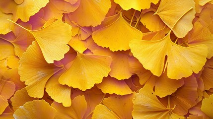 Natural leaf texture backdrop with ginkgo leaves of yellow in top view, space, Generative AI.