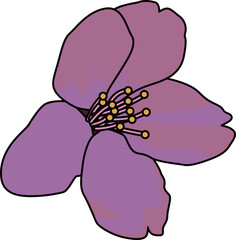 桜（cherry blossoms）(eps)