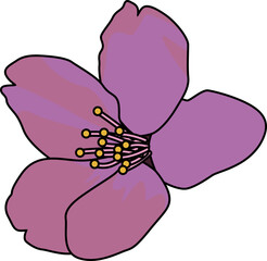 桜（cherry blossoms）(PNG)