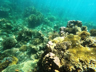 Pass island, Busuanga, Palawan, Philippines