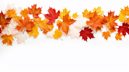 Naklejka na ściany i meble autumn leaves background white isolated photo