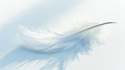 Fototapeta na wymiar Close-up of elegant white feather against light background with sun rays and shadows. Airy concept. Generative AI