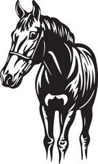 Horse Line art vector illustration black color