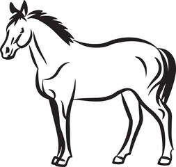 Horse Line art vector illustration black color