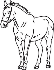 Obraz premium Horse Line art vector illustration black color