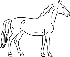 Horse Line art vector illustration black color