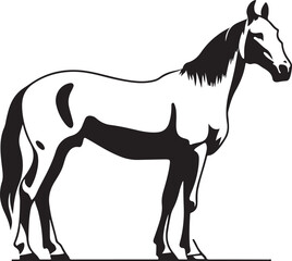 Horse Line art vector illustration black color
