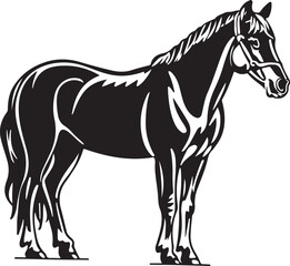 Horse Line art vector illustration black color