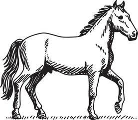 Horse Line art vector illustration black color