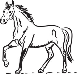 Horse Line art vector illustration black color
