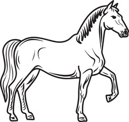 Obraz premium Horse Line art vector illustration black color
