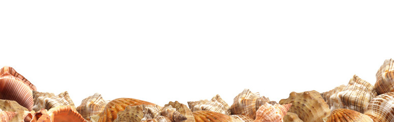 Frame shell isolated on white