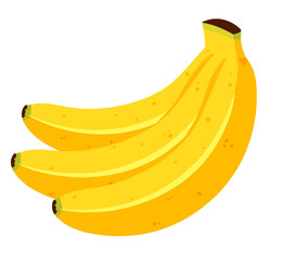 Bananas bunch vector illustration. Isolated clipart