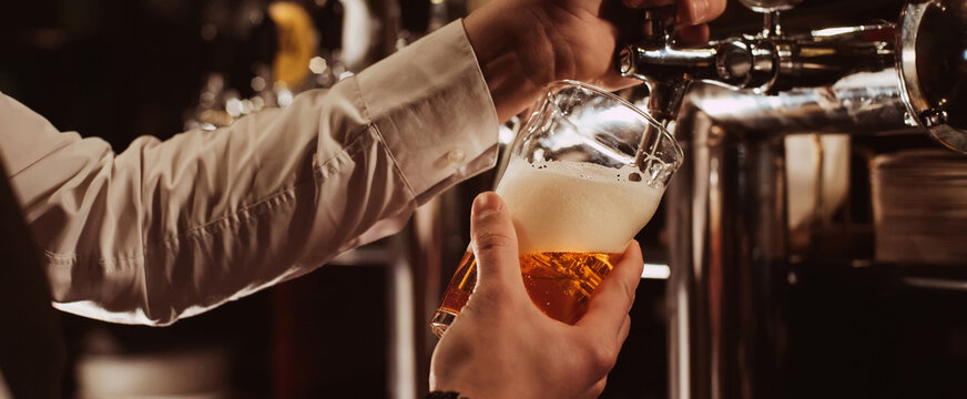hands of bartender pour into glass draught light foamy beer from tap in bar