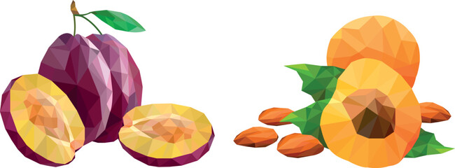 Plums and apricots drawn in low poly style. Set of fruits. 