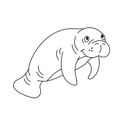Vector isolated one single cute cartoon smiling happy seal sea cow dugong side view colorless black and white contour line easy drawing	