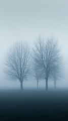 "Whispers of Dawn: Trees Shrouded in Mist"