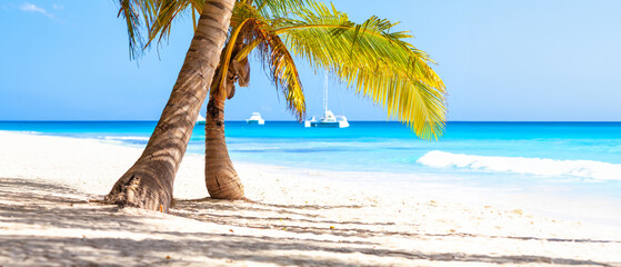 Vacation summer holidays background wallpaper - sunny tropical Caribbean paradise beach with white sand in Seychelles Praslin island Thailand style with palms