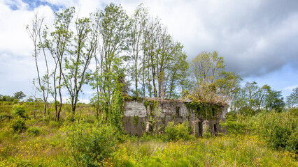 Abandoned House Structure Ruins Overgrown Vegetation Hill Rural Landscape.