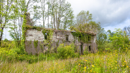 Abandoned House Structure Ruins Overgrown Vegetation Hill Rural Landscape. - 719038518