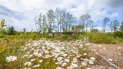 Abandoned House Structure Ruins Overgrown Vegetation Hill Rural Landscape. - 719038990