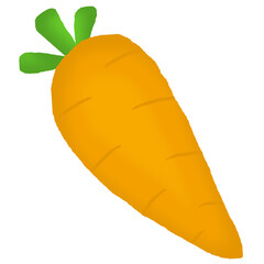 hand drawn carrot illustration