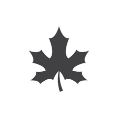 golden star isolated on white