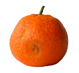 Spoiled mandarin. Rotten tangerine. Isolated. 