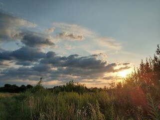 Beautiful evening landscape, field with tall grass, path and big clouds