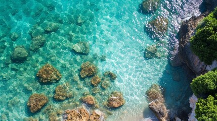 Experience the tranquil beauty of a turquoise reef, where aqua waves crash against coral rocks in this stunning outdoor oasis