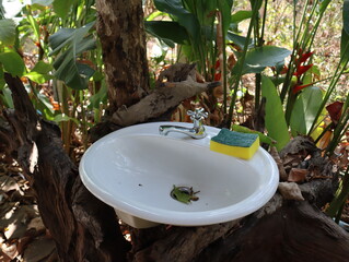 White sink and sponge in the garden